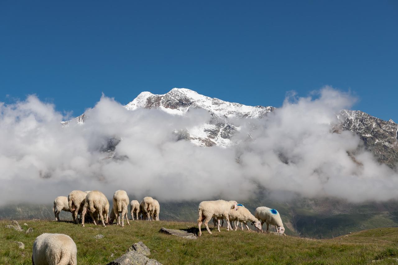 Natur-&Alpinhotel Post เวนท์ ภายนอก รูปภาพ